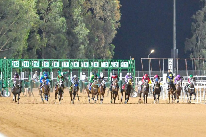 انطلاق مهرجان كأس الملك فيصل لسباقات الخيل السبت القادم