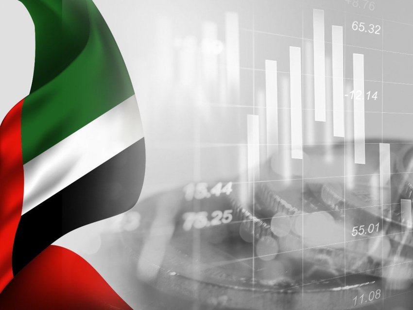 13.5 مليار درهم مكاسب الأسهم المحلية الاماراتية خلال أسبوع